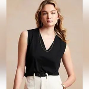 Banana Republic Factory soft cotton V-neck T-shirt in light gray, size L, NWT